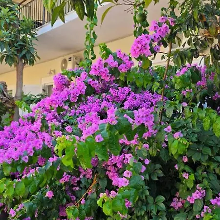 Apartman E & G Figareto 9 *